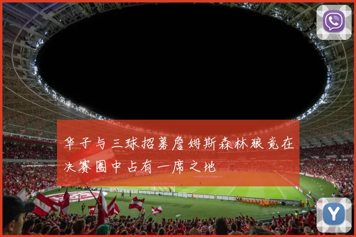 华子与三球招募詹姆斯森林狼竟在决赛圈中占有一席之地